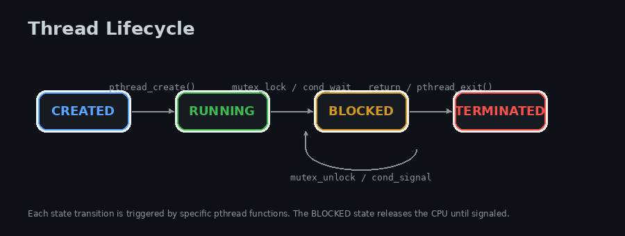 Thread Lifecycle